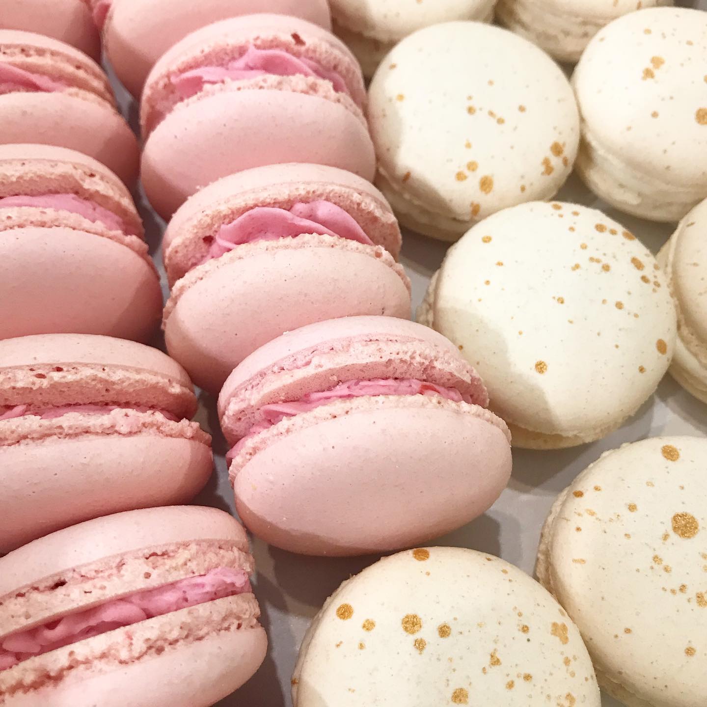 macarons